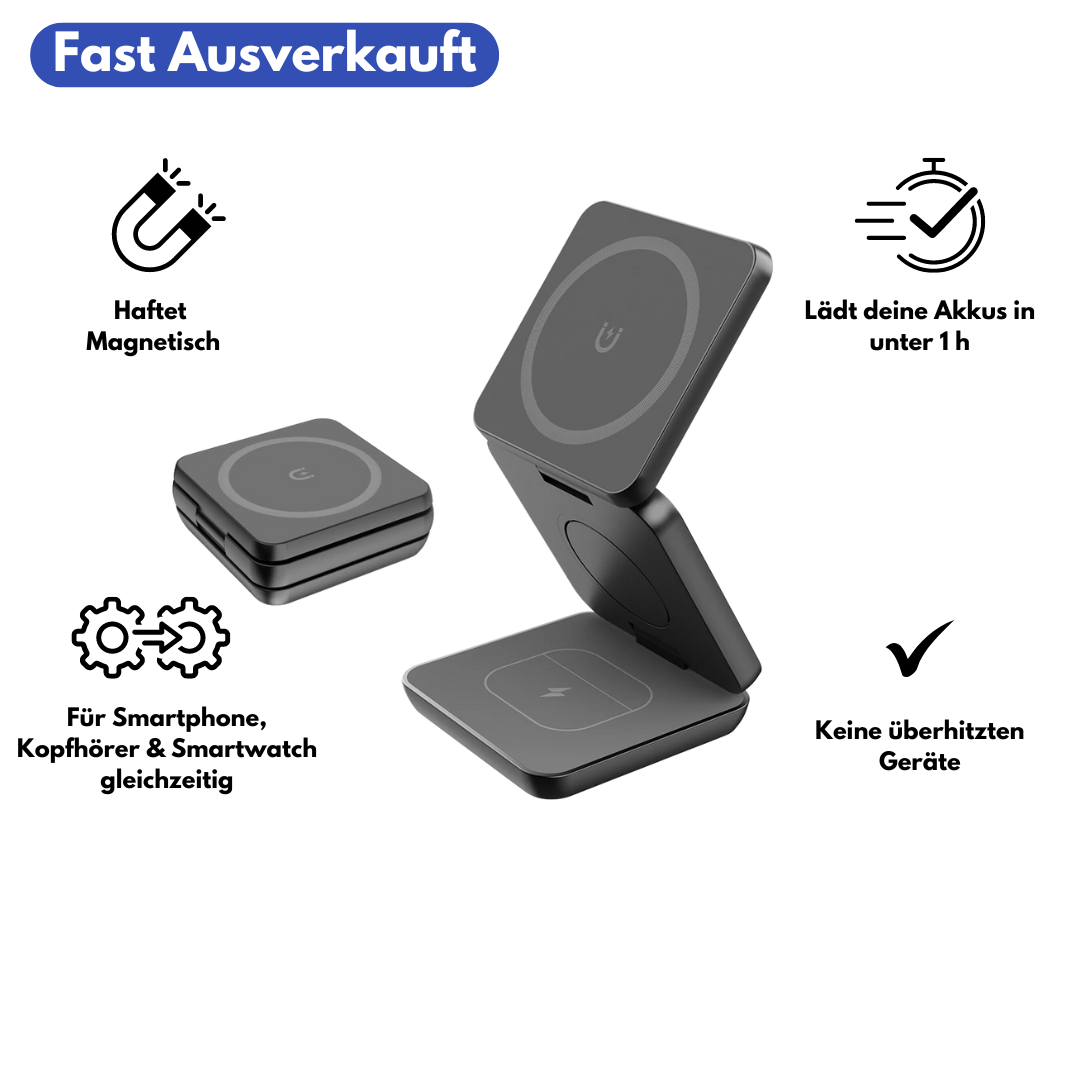 Travelmaster - 3 in 1 Reiseladegerät